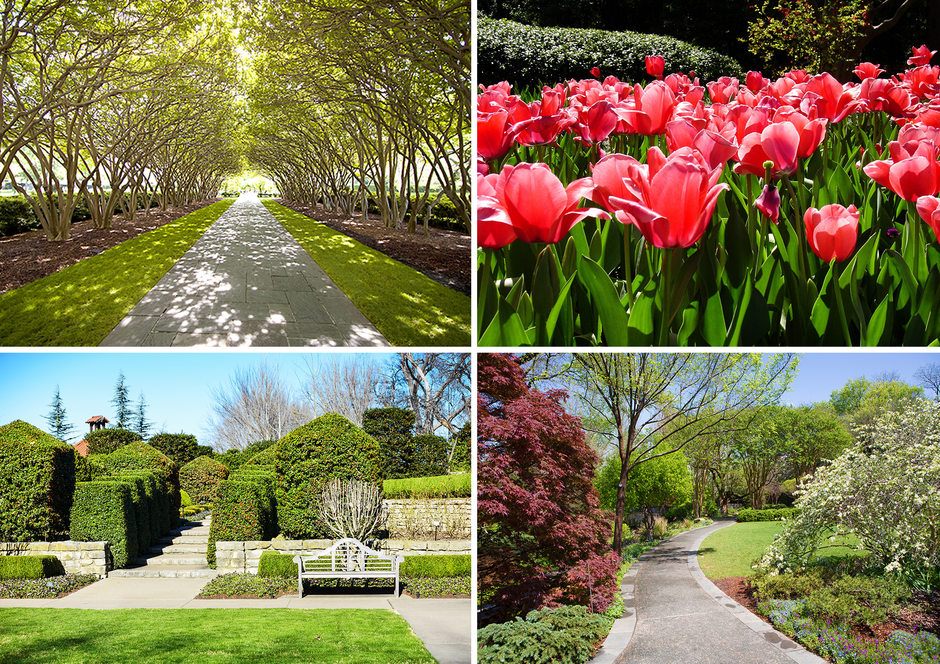 Dallas Arboretum